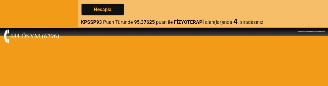feyza tweet media