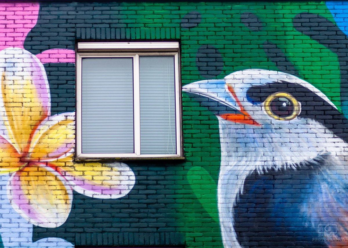E_van_den_Ham's tweet photo. #September_Stemming 30 September 2024 door @LadyLove40.
 Dag 30 Vandaag zoeken we naar #Murals https://t.co/GvE6zhuqgd