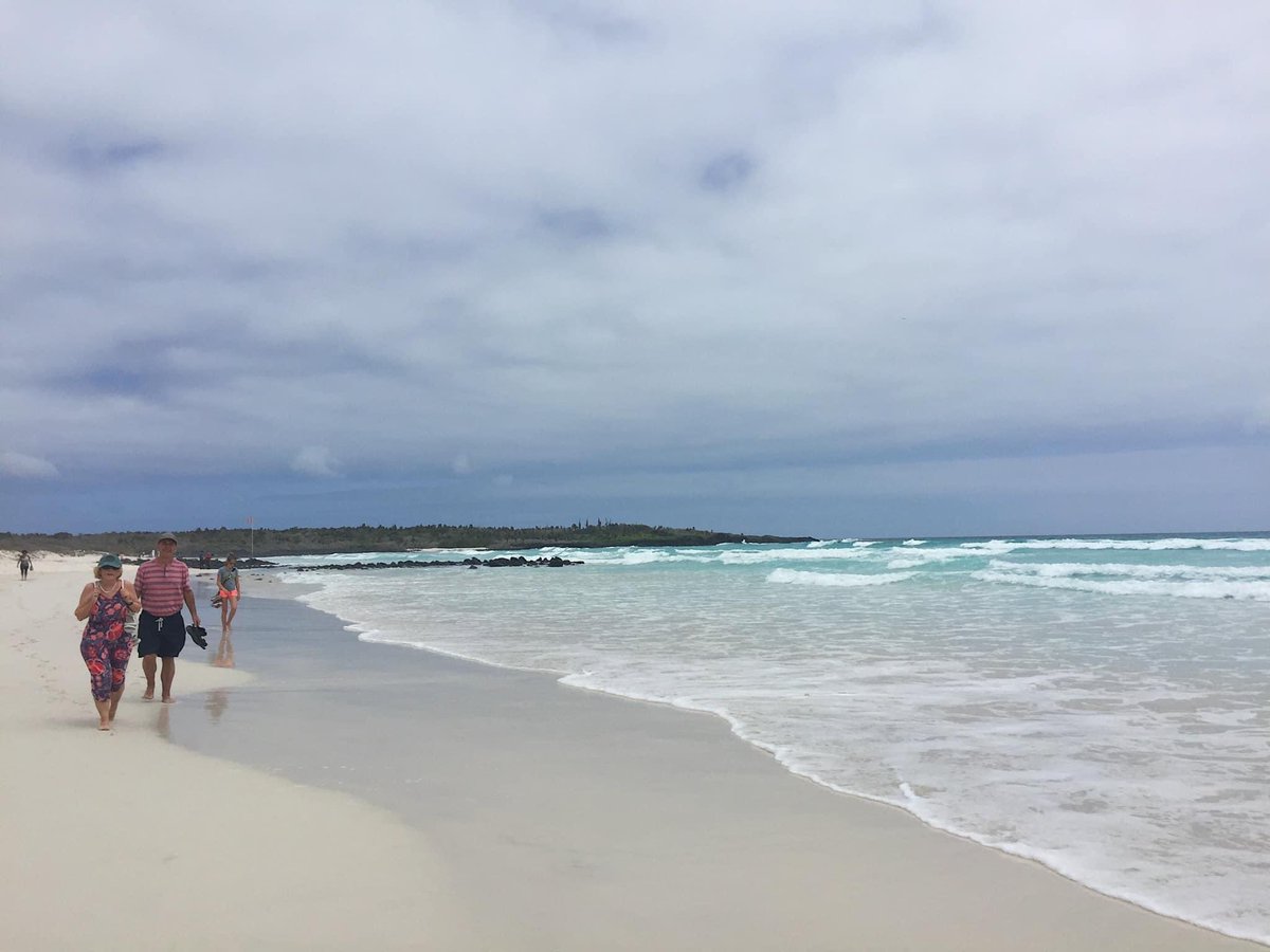 OriginalEcuador's tweet photo. Tortuga Bay in Galapagos offers two contrasting beach experiences 🐢🦭

Playa Brava: a wild, expansive beach with white sands and impressive surf. Playa Mansa: a tranquil cove, perfect for swimming, kayaking, and paddle boarding. 

#GalagosIslands #TortugaBay #SantaCruzIsland https://t.co/ozDncRlEWR