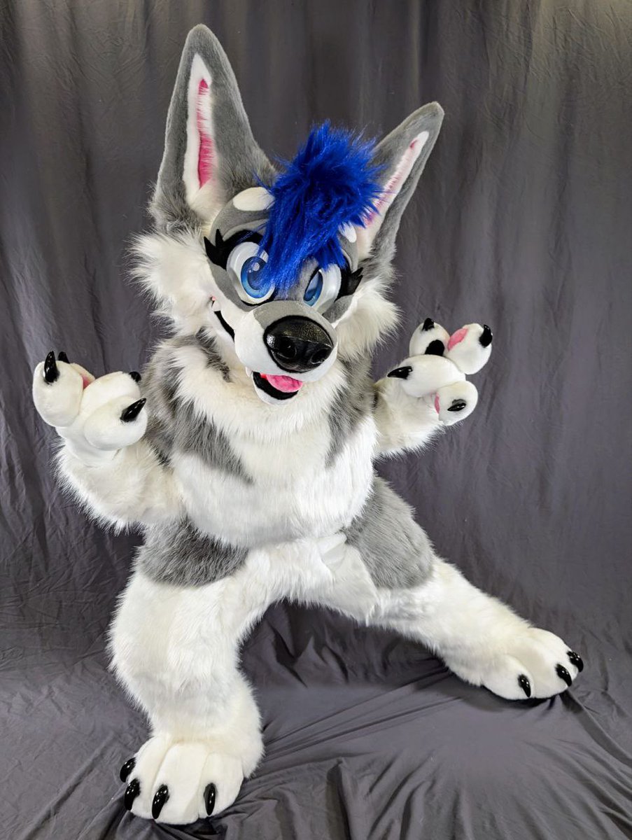 Sapphire Husky tweet media
