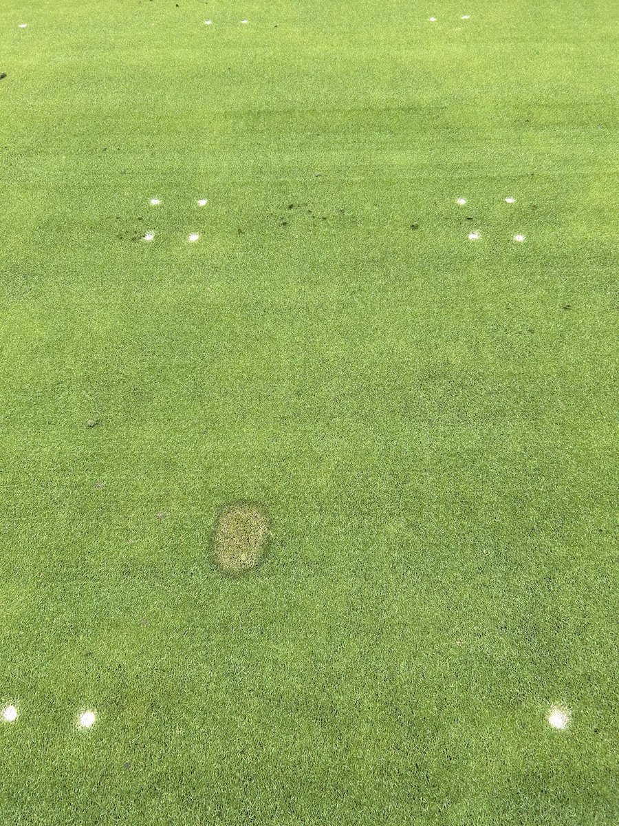 Pingyuan (Bay) Zhang 张平远 tweet media