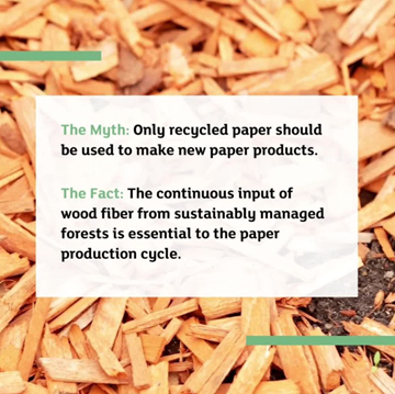TAPPITWEETS's tweet photo. @TwoSidesNA - Every time paper is recycled, the fibers get shorter and weaker. Fresh fiber from sustainably managed forests is constantly needed to compensate for the retirement of degraded fiber. Learn more:
https://t.co/65Hl64ELOe 

#paperfacts #paper #recycle https://t.co/oqomWPoRDx