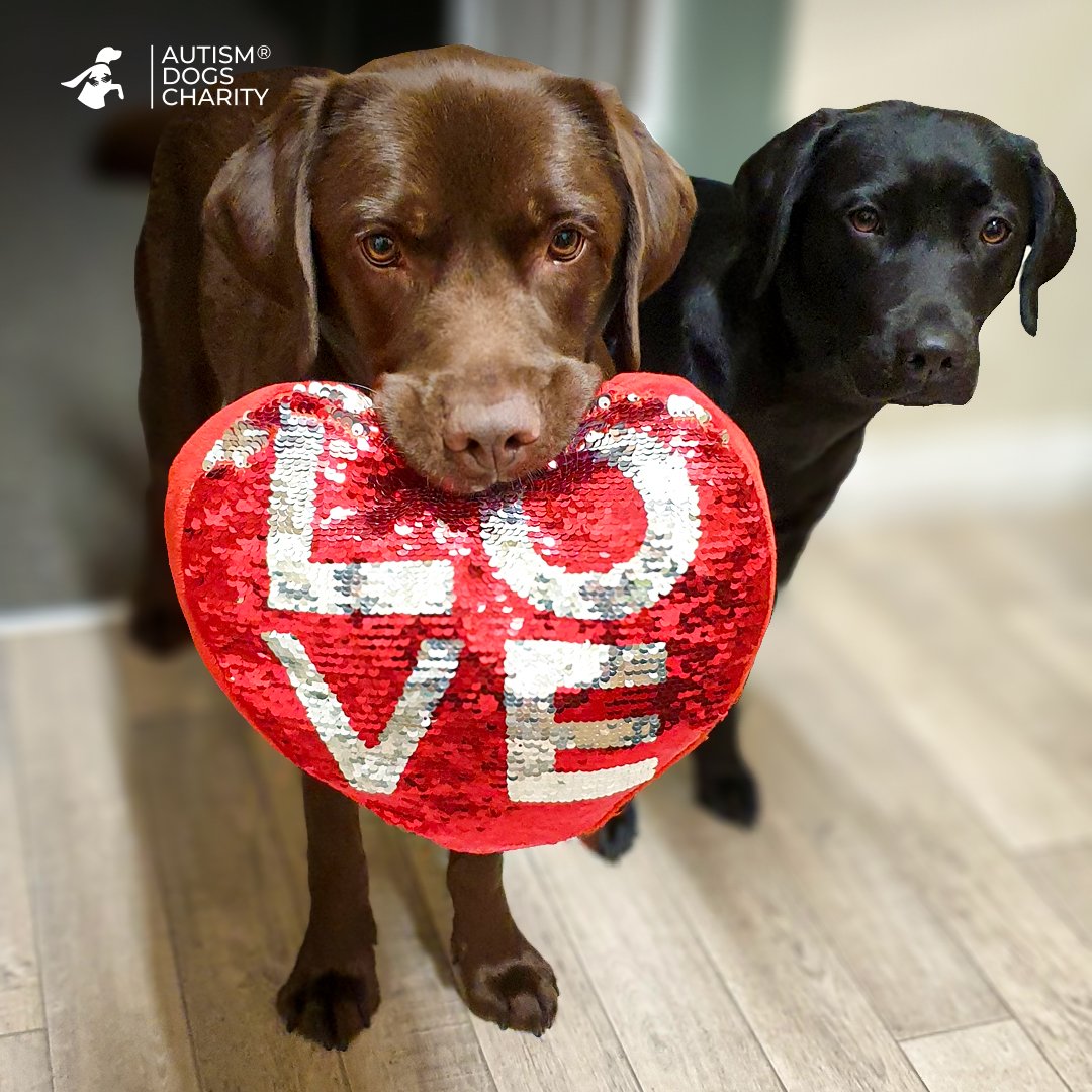 On National Nonspeaking Nonverbal Awareness Day, we stand with those who communicate beyond words. Max and his handler show us that bonds run deeper than speech—through touch, looks, and love. Let's amplify all voices today. 🐾💙 #HearOurVoicesWithin #AutismAwareness