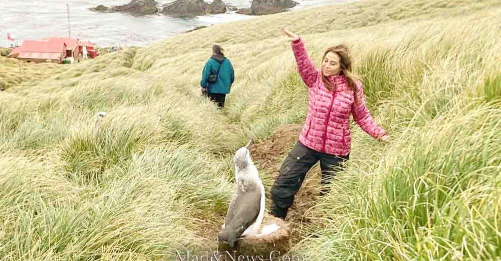 ficdcor.tv/programacion/
FICDCOR “SOMOS DOCUMENTAL”
#ficdcor2024 #CineDocumental #FestivalDeCine #CineIndependiente #Cortometrajes #PremiosDeCine #CineDeCulto #Córdoba #somosdocumentales
madandnews.com/documental-chi…