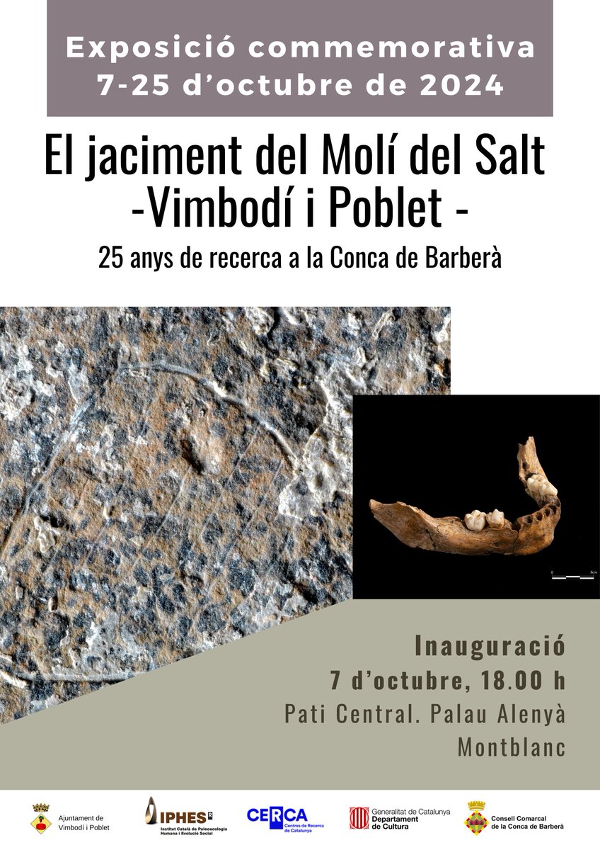 📢 #NOTÍCIES | El Consell Comarcal inaugurarà l’exposició conmemorativa "El jaciment del Molí del Salt - Vimbodí i Poblet" <a href="/iphes/">IPHES-CERCA</a> 
📌 Es podrà visitar del 7 al 25 d’octubre al pati central del Palau Alenyà
Tota la ℹ aquí 👇
concadebarbera.cat/noticies/conse…