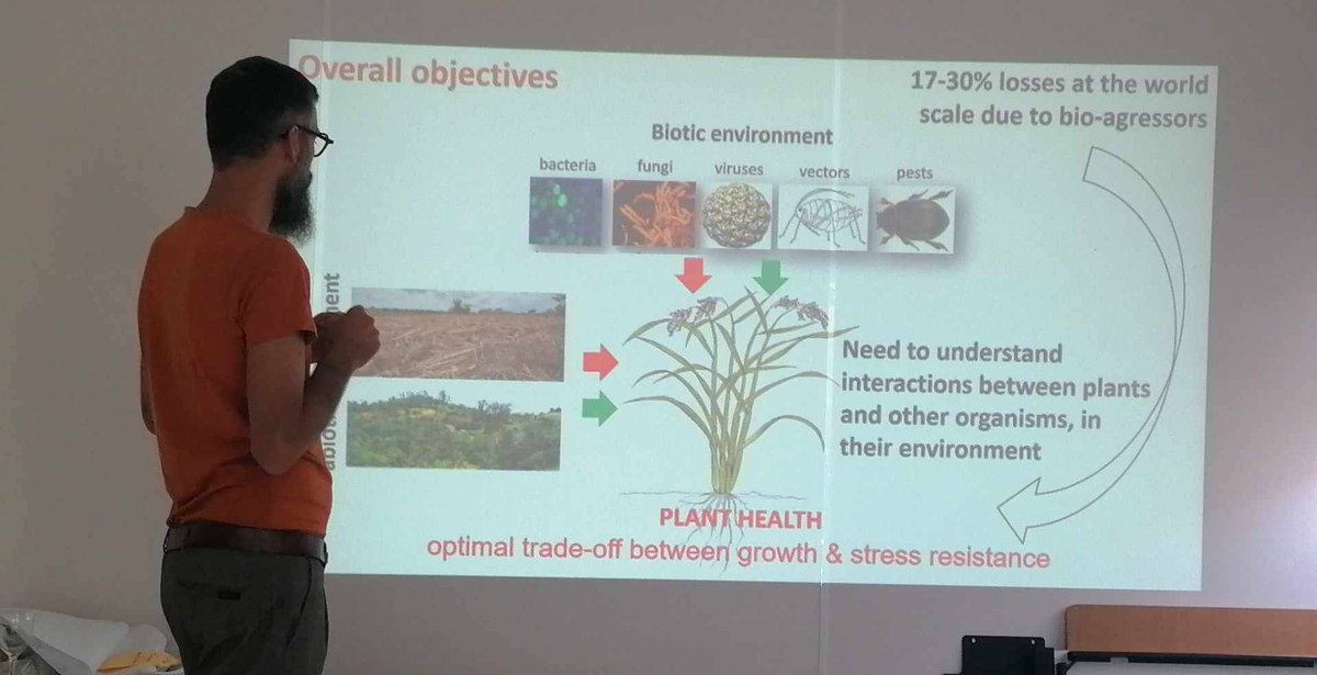PHIM_research's tweet photo. [#Diplomacy] 🇨🇺🇫🇷 We welcomed a cuban delegation within the framework of a partnership agreement @Cirad #EstaciónExperimentalIndioHatuey #UniversityMatanzas 1/ Meeting with @Herve_Sanguin #PaulaFernades leading the FEF #SystemAgrOH 2/ visit of #VisaCan with @MicroQuar https://t.co/uqPjkYWmMN