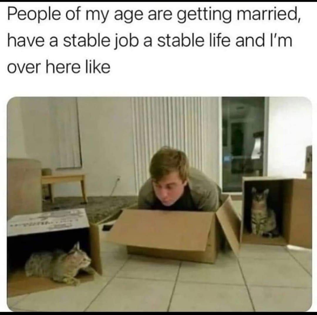 positive side of X 🌞 tweet media