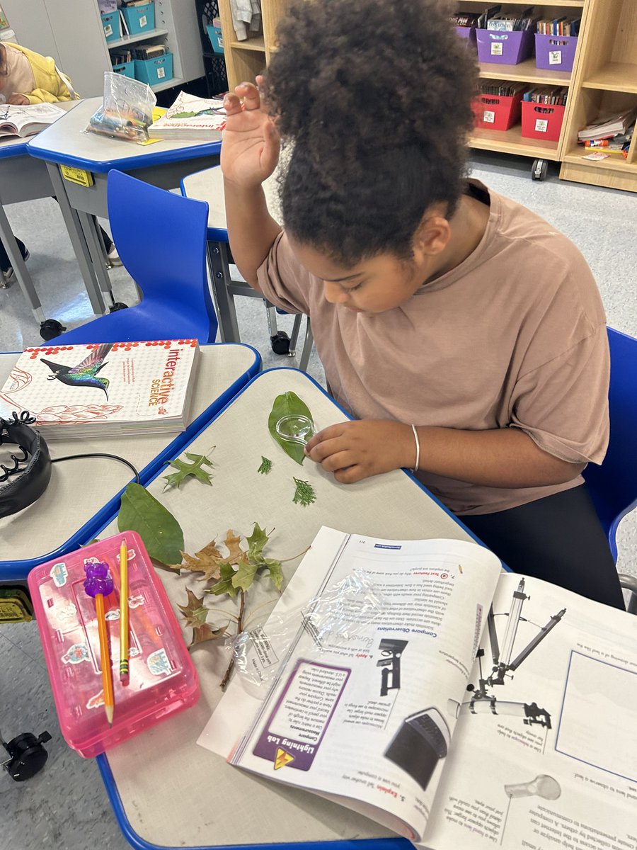 Using a hand lens to see the details of leaves in our science lesson 🍁🔍<a href="/25Lafayette/">Lafayette Estates School #25</a>