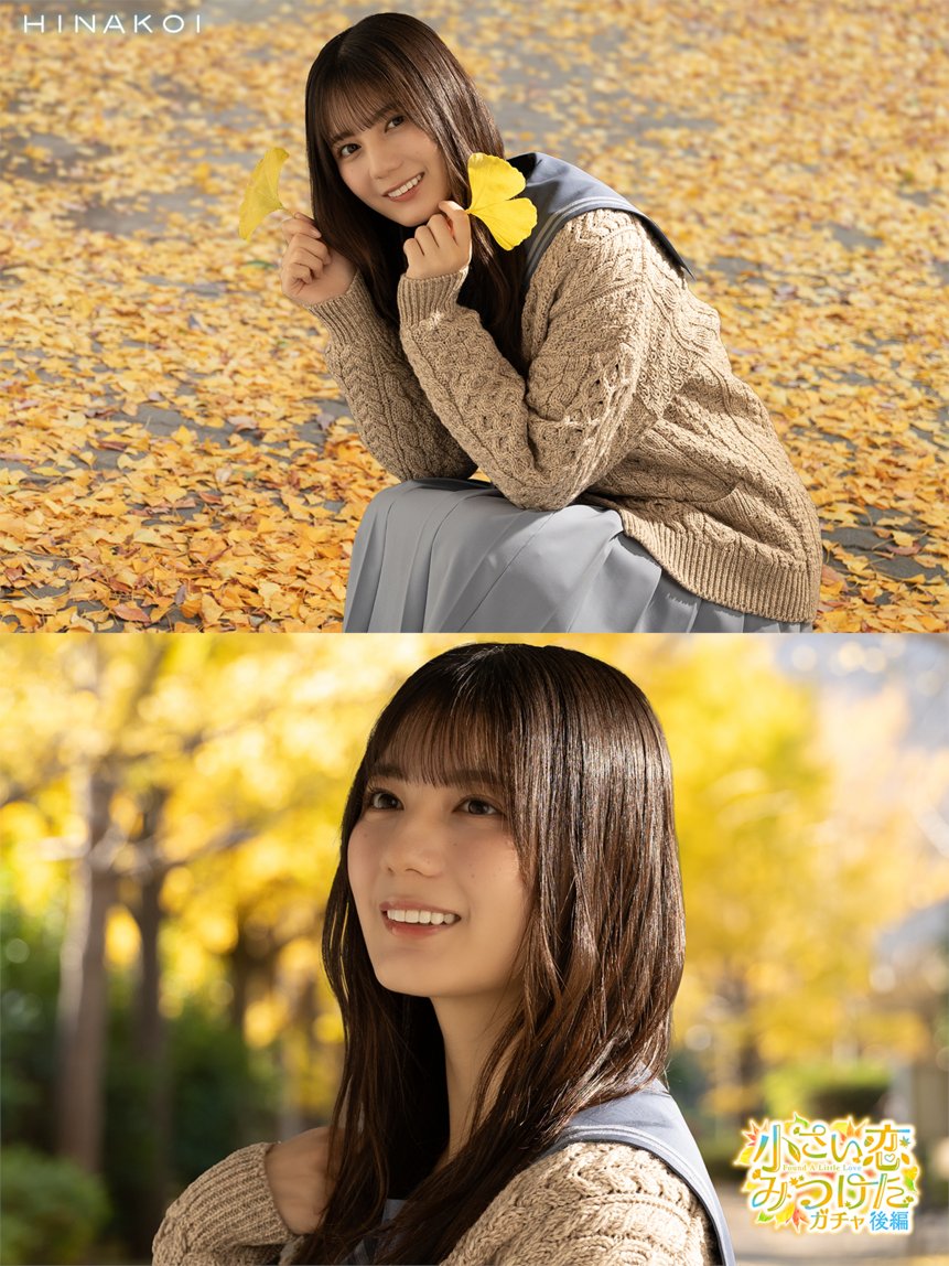 【新ガチャ予告】

「明日も一緒に帰りませんか？
　先輩と私、2人で……」

🍁𝟣𝟢/𝟣 𝟣𝟧:𝟢𝟢 𝖲𝖳𝖠𝖱𝖳🍂

#日向坂46 #小坂菜緒 #ひなこい
