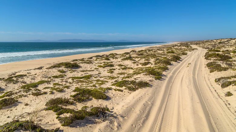 JorgeCarmo9's tweet photo. #Comporta #Portugal #guide #destinations 🇵🇹✈️🌅 A Quiet Luxury Escape Awaits At This Portuguese Beach Town Called The Hamptons Of Europe ➡️ https://t.co/4Ldca2miYt - #September and #October are considered highly desirable months to explore the area. During these months, you can expect slightly cooler temperatures, fewer people, and incredible #surfing opportunities.