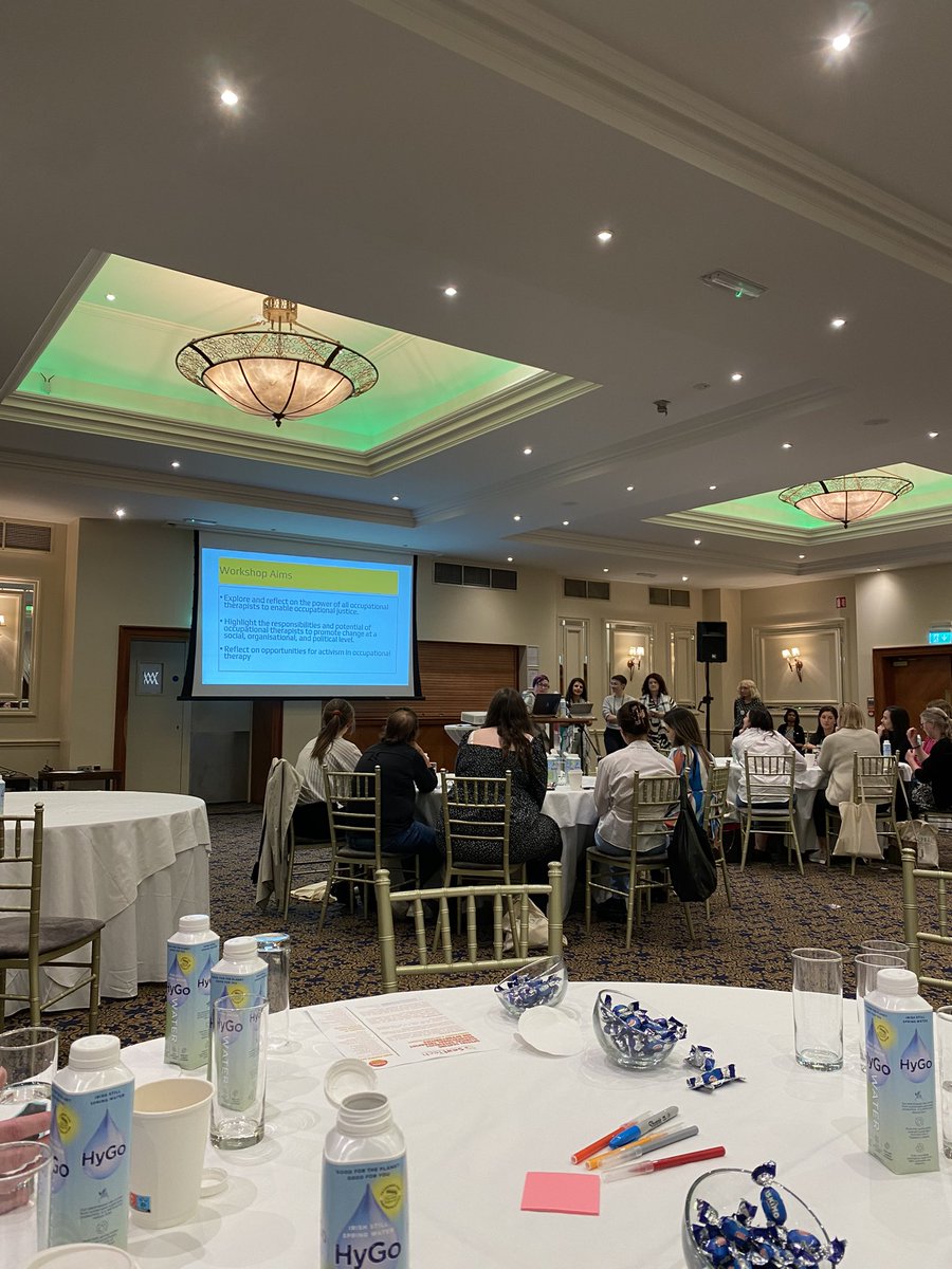 JessieTierneyOT's tweet photo. An enjoyable 2 days at the @AOTInews conference, grateful to have been selected to present a poster on meta-ethnography &amp; OT practice and policy🥳  

Big thank you to all involved for providing such valuable learning!

#AOTI2024 https://t.co/duNDiTZwLs