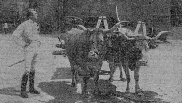 👣  Este xoves 3 ás 18:30h guiaremos o paseo 'Compostela Filmada' para a <a href="/bpsanxelcasal/">Biblioteca Pública de Santiago Anxel Casal</a>. Anímaste?

👉  Dirixido a público adulto. Máximo 30 participantes.

☝ Recolle o teu convite no mostrador de información da biblioteca desde 30 min antes.

bibliotecas.xunta.gal/santiago/gl/ac…