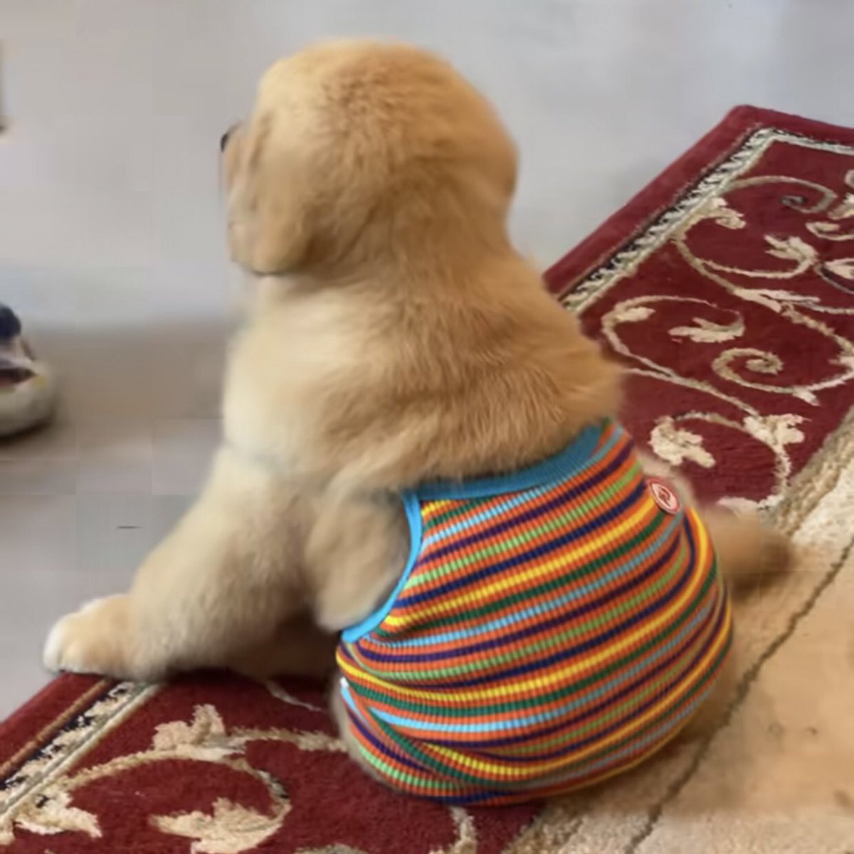 takemybear's tweet photo. ไหนบอกว่าฟรีไซส์ https://t.co/JYNCSZ2YA1