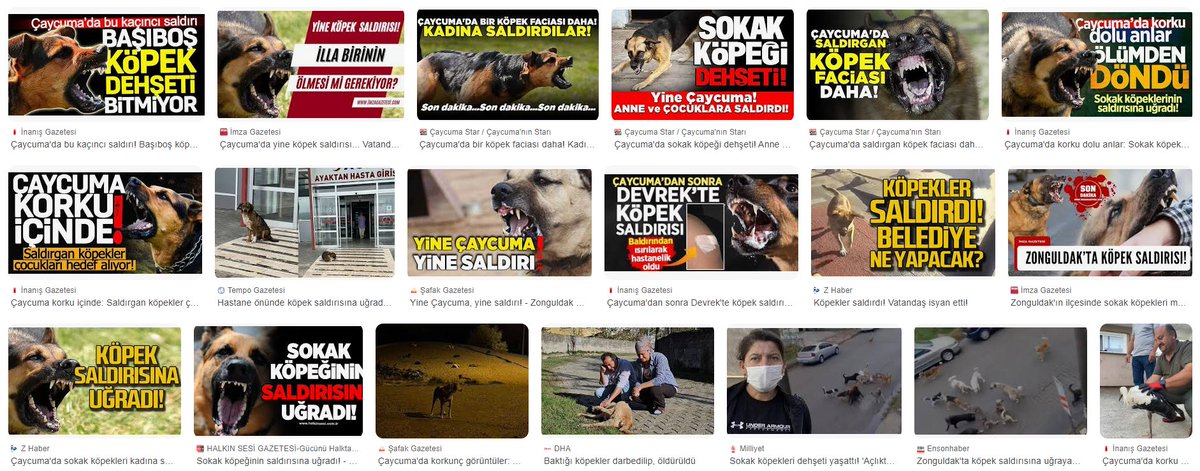omerrakcaoglu's tweet photo. Zonguldak'ın Çaycuma ilçesine yaptığım dört günlük ziyaret sırasında ciddi bir sokak köpeği sorunu ile karşılaştım. Özellikle köpeklerin saldırıları nedeniyle yollarını değiştiren insanlar, çocuklar, kadınlar, motosiklet sürücüleri ve yolda yürüyen birçok vatandaşın köpeklerden kaçmak zorunda kaldığına defalarca tanık oldum. Esnafın, köpeklerin saldırısına uğrayanlara yardım etmek için koştuğuna şahit oldum. Ben de birkaç kez köpek saldırıları nedeniyle güzergâhımı değiştirmek zorunda kaldım. Ne yazık ki gece ya da gündüz fark etmeksizin köpekler her köşede insanların güvenliğini tehdit edecek şekilde varlık gösteriyordu.

Özellikle akşam saatlerinde 20-30 köpekten oluşan grupların sokaklarda insanlara saldırdığını gözlemledim. Çaycuma halkıyla bu durumu konuştuğumda, köpeklerin saldırgan davranışlarından dolayı oldukça tedirgin olduklarını ve çaresiz kaldıklarını söylediler. İnsanların bu konuda yapacak bir şeylerinin olmadığını üzülerek dile getirdiler. Tenha sokaklarda korku içinde yürüyen vatandaşlara da bizzat şahit oldum.

Bazı vatandaşlarla yetkililere bu konuda başvurup başvurmadıklarını sorduğumda, bir kısmı yetkililerden herhangi bir yanıt alamadıklarını belirtti. Diğerleri ise belediyenin bir hayvan barınağı yapma planının olduğunu, ancak Sokak Hayvanları Yasası nedeniyle bu planların askıya alındığını ve şu anda herhangi bir çözüm getirilmediğini ifade ettiler.

Sosyal medyada ve arama motorlarında Çaycuma ile ilgili yapılan haberleri incelediğimde, birçok insanın köpek saldırıları nedeniyle şikayetçi olduğunu, ısırılan, yaralanan ve köpeklerden kaçarken düşüp sakatlanan vatandaşların durumlarının yerel medyada ve sosyal medyada gündem olduğunu gördüm. Çaycuma halkının can güvenliğini tehdit eden bu sokak köpeği sorununa karşı yetkililerden acilen önlem alınmasını istiyorum. Daha fazla vatandaş zarar görmeden ve belki de daha büyük felaketler yaşanmadan bu sorun çözülmelidir.

Çaycuma gibi güzel bir ilçenin bu tür bir sorunla anılması beni gerçekten üzüyor. Bu ilçeyi ziyaret eden birçok insanın aklına ilk gelen şeyin sokak köpekleri olması, ilçenin imajına zarar veriyor. Bu algının değişmesi ve halkın güvenliğinin sağlanması adına, Çaycuma Belediye Başkanı Bülent Kantarcı(@bulent_kantarci) başta olmak üzere, Zonguldak Milletvekilleri Eylem Ertuğ Ertuğrul(@vekilimizeylem), Deniz Yavuzyılmaz(@yavuzyilmazd), Muammer Avcı(@muammerravci), Ahmet Çolakoğlu(@ahmetcolakoglu0), Saffet Bozkurt(@saffetbozkurt67), İçişleri Bakanı Ali Yerlikaya(@AliYerlikaya), İçişleri Bakan Yardımcısı Münir Karaloğlu(@munirkaraloglu), Zonguldak Valisi (@TC_Zonguldak)Osman Hacıbektaşoğlu ve Çaycuma Kaymakamı (@caycumakaymakam)Adem Kaya’dan acil önlem alınmasını talep ediyorum.

Bu sorunun ciddiyetini gözler önüne sermek adına, dört günlük ziyaretim sırasında çektiğim videoları ve bazı örnekleri aşağıda paylaşıyorum.

@Yenisehirlioglu @cuneytozdemir 
#Çaycuma #ÇaycumaKöpekSorunu #ÇaycumaGüvenlik #SokakKöpekleri #VatandaşGüvenliği #ÇaycumaHalkıTehlikede #KöpekSaldırıları
#ÇaycumaBelediyesi #Çözümİstiyoruz
#KöpekSaldırılarınaÖnlem #ZonguldakSokakHayvanları #ÇaycumaZiyareti
#KöpekSorunuAciliyet #ÇaycumaİçinÇözüm