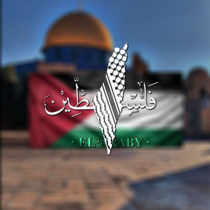 Saif Ullah Warraichᵀᵉᵃᵐᴸᴸᴾ tweet media