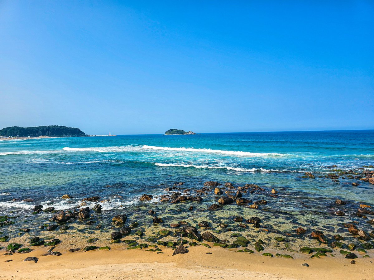 바다야 널 사랑해