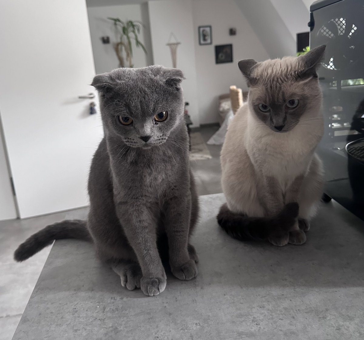 marietvj's tweet photo. Je sais pas ce que j’ai dit mais je les ai vexé https://t.co/ehWEUtAI6p