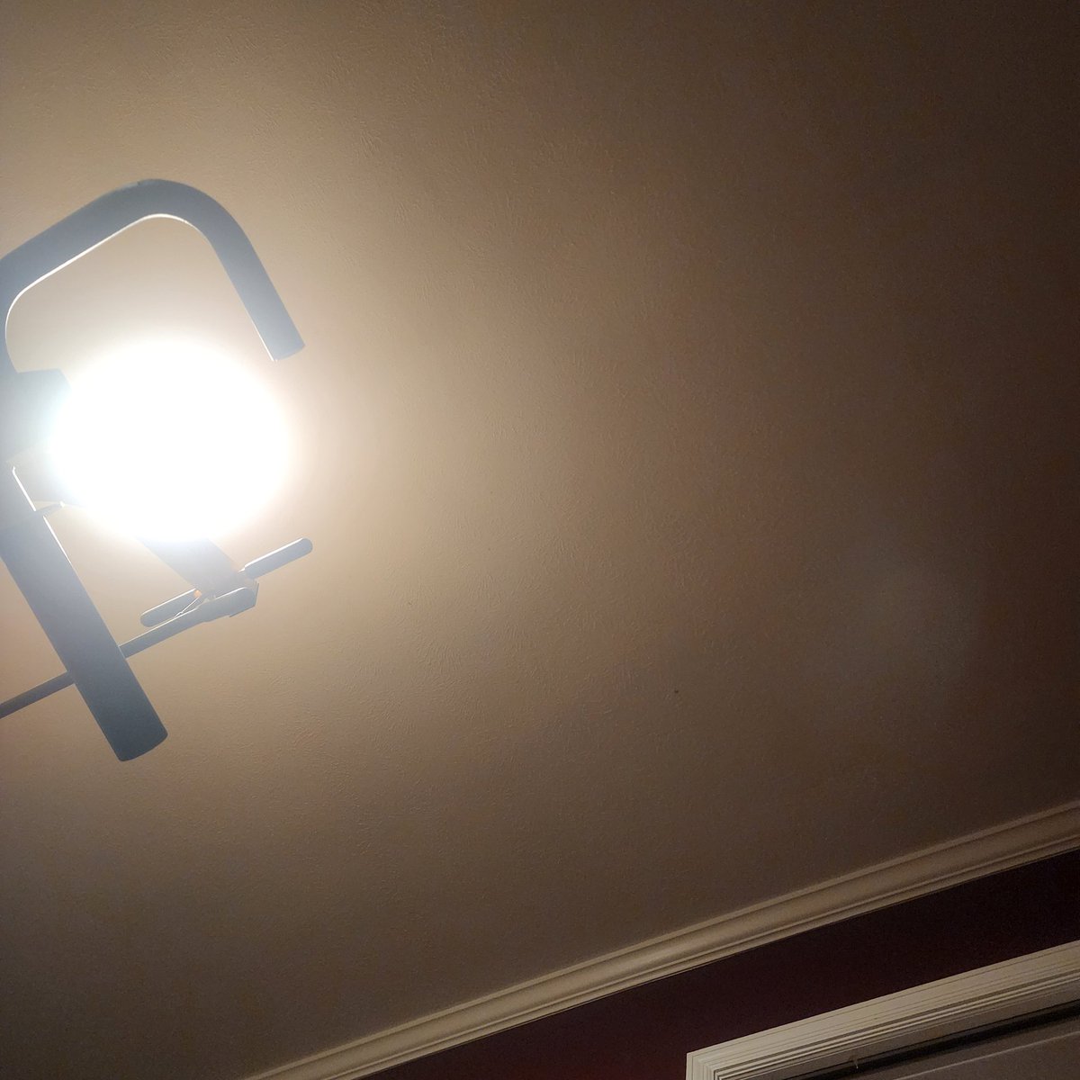 No hardship today can compare to the self-imposed predawn ritual. Soon, I'll have the strength to stand. Then, the day is won.