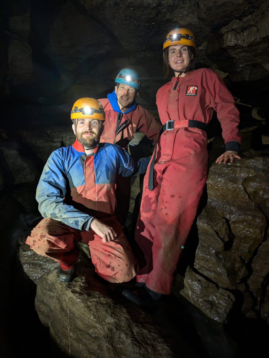 David King tweet media