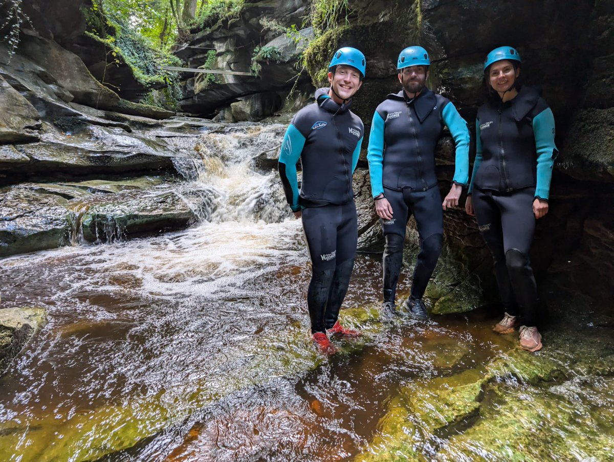 David King tweet media