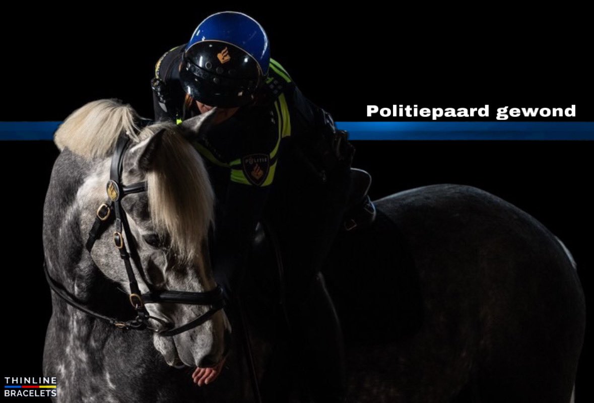 Na de wedstrijd RKC- AJAX braken gisteren rellen uit. Ruim 100 voetbal hooligans gooiden met stenen, verkeersborden en fietsen naar de politie. Hierbij raakte een politiepaard gewond. Dieptriest. We wensen de betrokken collega's sterkte en hopen dat het paard snel herstelt.