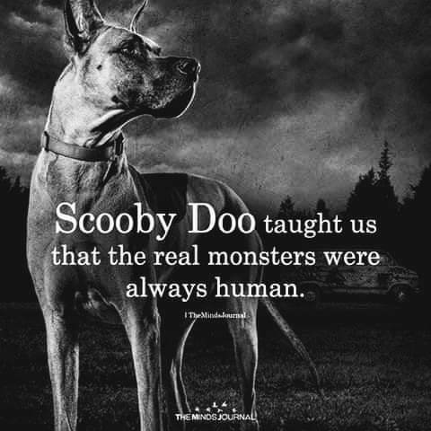 woofknight's tweet image. 