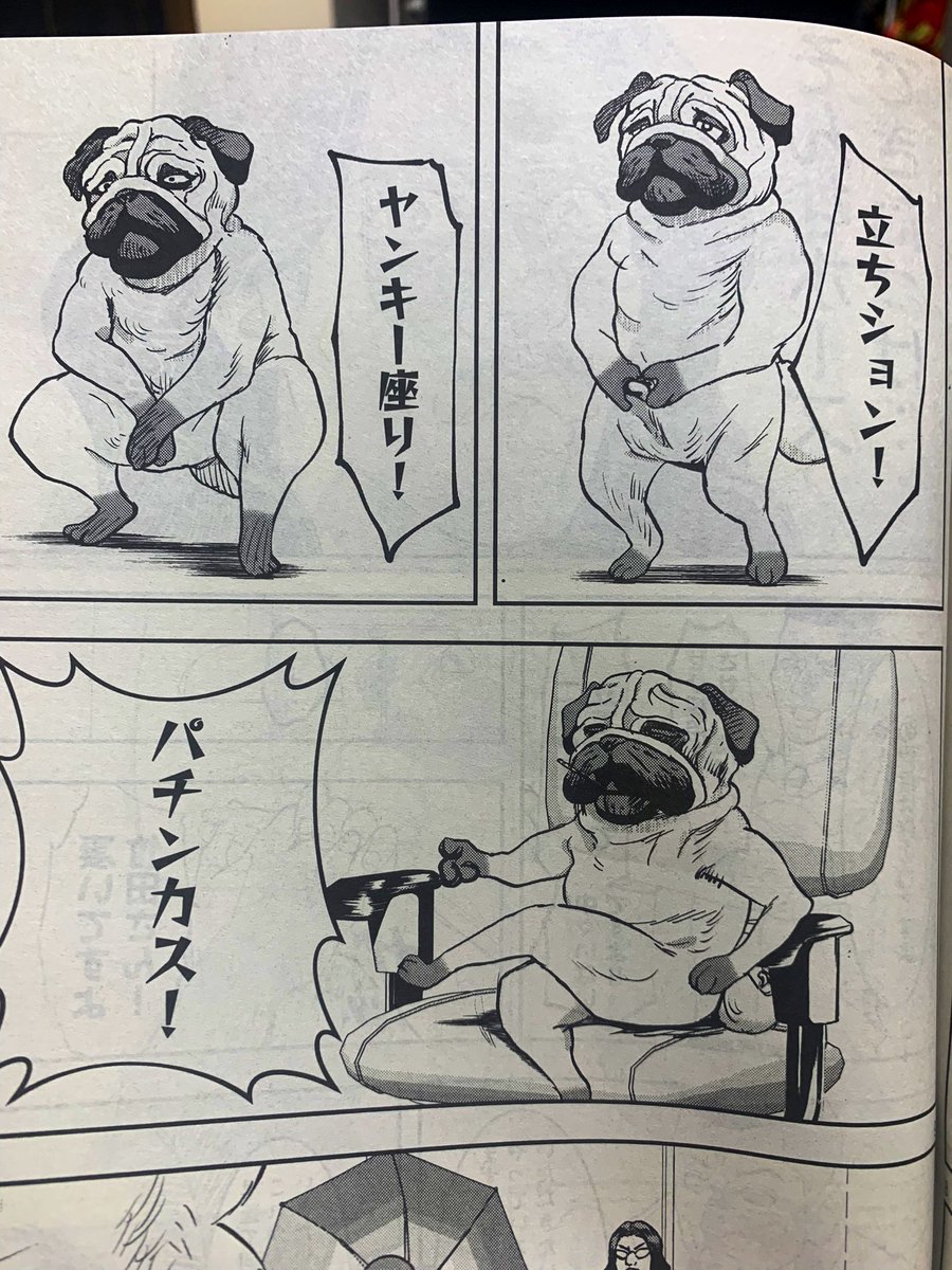 最新六話載ってます✨✨
イッヌと竹田がバイトする回です。そしてまたしても巻中カラー❣️ありがたいです🙇‍♀️ 