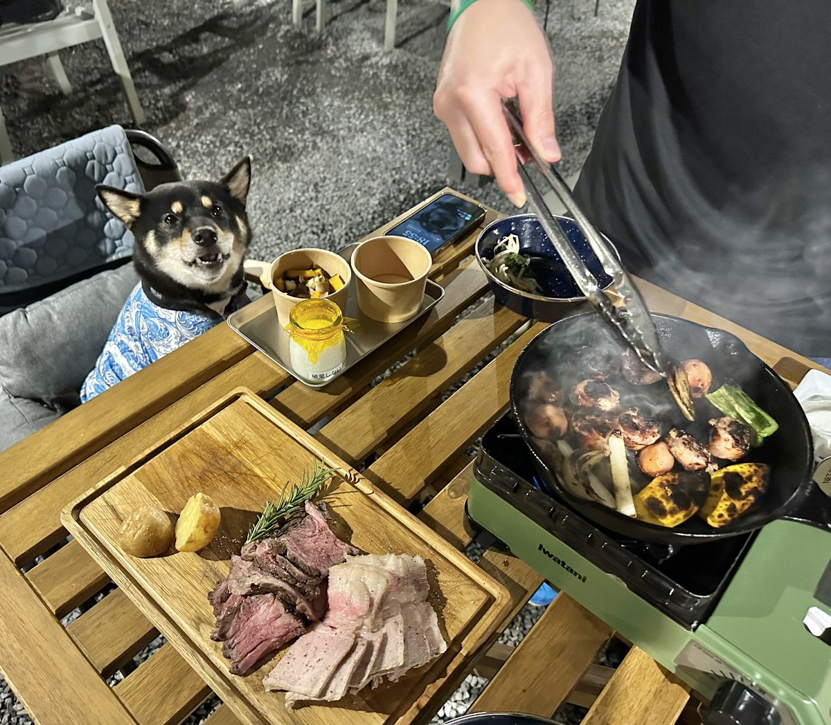 Gin_kuroishiba's tweet photo. 銀さんにも"給食"が出ました🐶🥛✨
飼い主たちはBBQ❤️
一緒にごはん嬉しいね✨
#柴犬
#黒柴
#ETOWA
#BBQ
#小学校に宿泊
#わんこの給食 https://t.co/QdZB9TxzM1