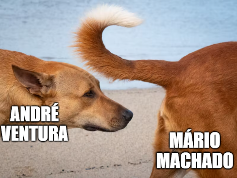 João Cordeiro tweet media