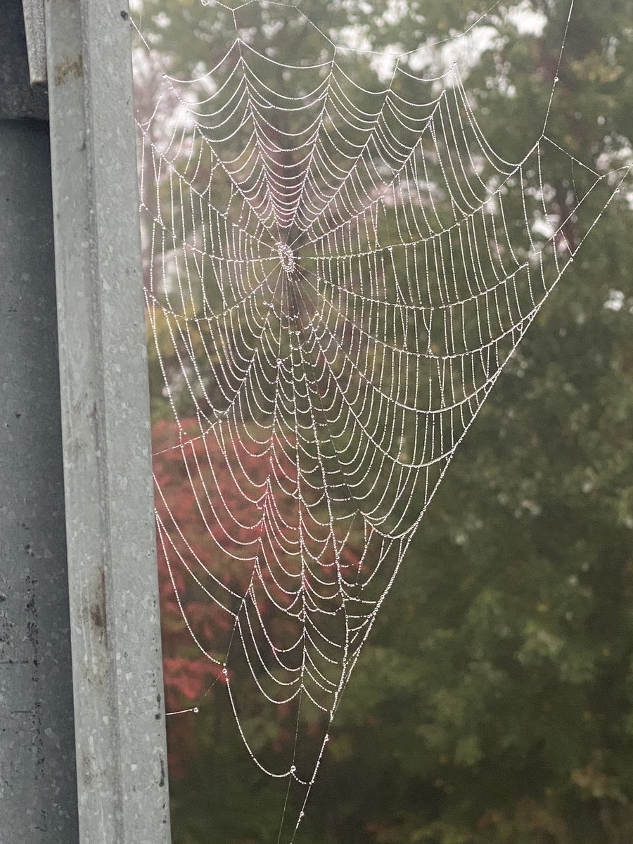 Nature decorating for Halloween