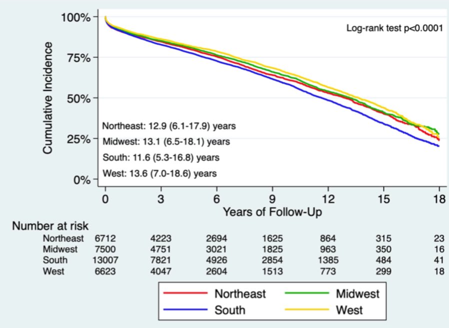 Rodrigo Zoni tweet media