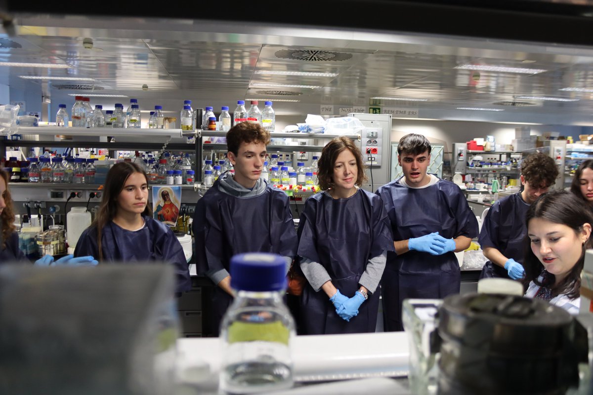 CNIC_CARDIO's tweet photo. Estas son algunas de las actividades que se disfrutaron en el @CNIC_CARDIO durante la #NocheEuropeaInvestigadores #EuropeanResearchersNight🚀

🫀 ¿Alguna vez te has preguntado cómo funciona tu corazón y a quién puedes donar sangre?
🧠 Cuida tu corazón para proteger el cerebro: conoce un laboratorio de #neurociencia
🧬 ADN-Aventura: ¡Explora y edita!
🔬 Modelos genéticos prácticos de desarrollo cardíaco y #CardiopatíasCongénitas
💻 Diseñando los #fármacos del futuro: Una experiencia inmersiva con #RealidadVirtual

#InvestigaciónCardiovascular #CNIC