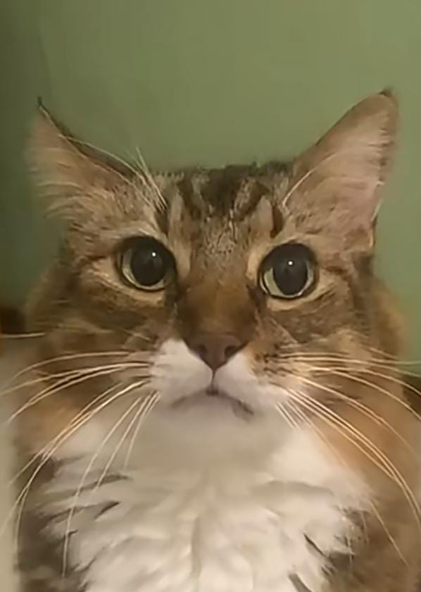 mendzz★ tweet media