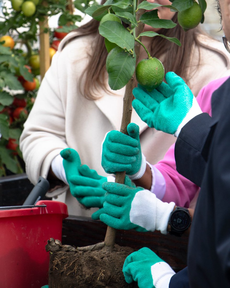 Sony CSL (Paris) tweet media