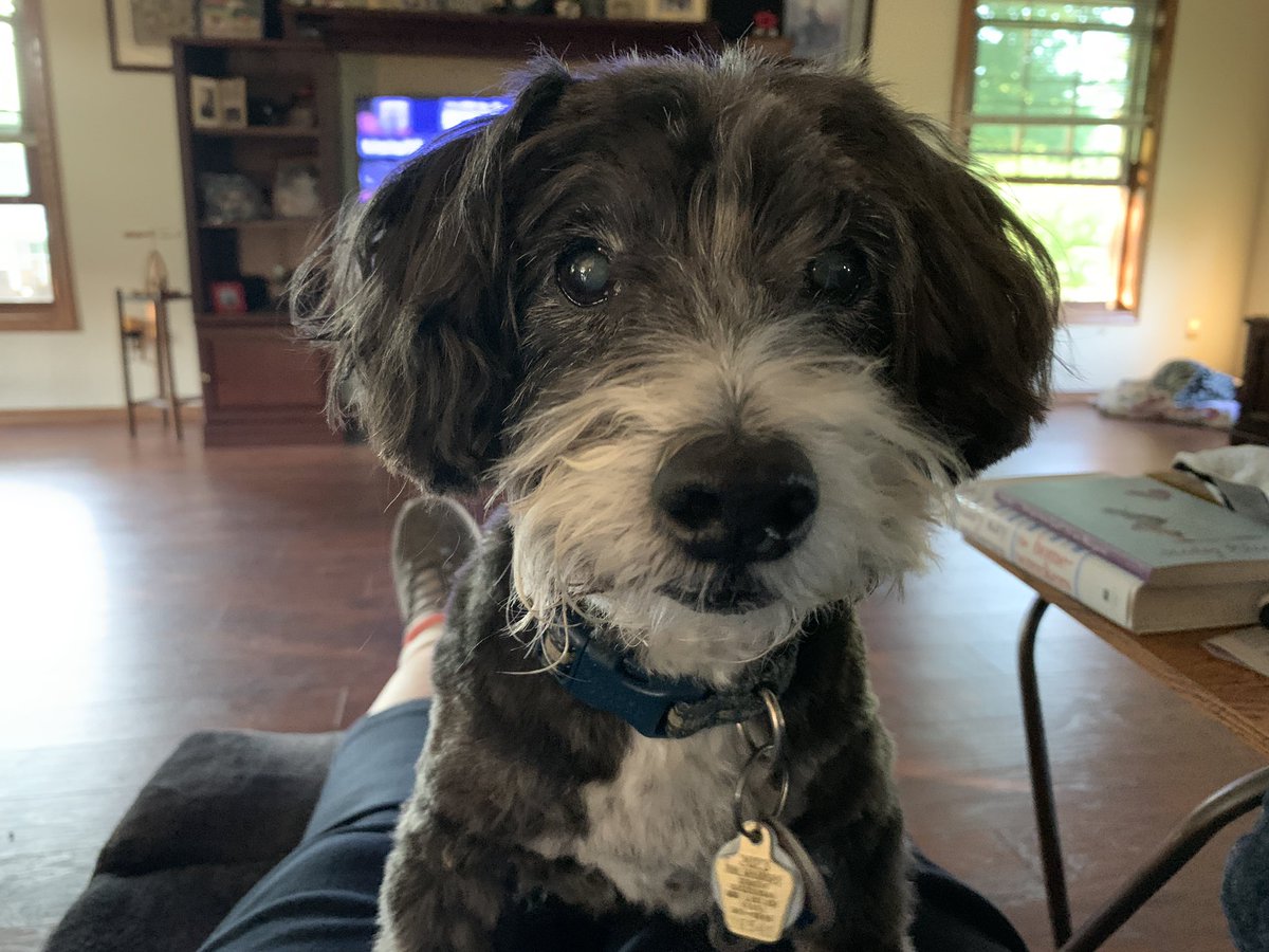 Kathleen Hohl tweet media