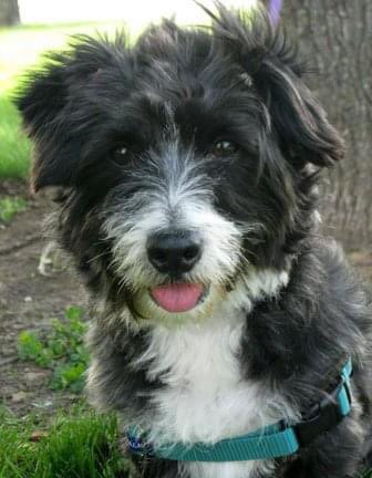 Kathleen Hohl tweet media