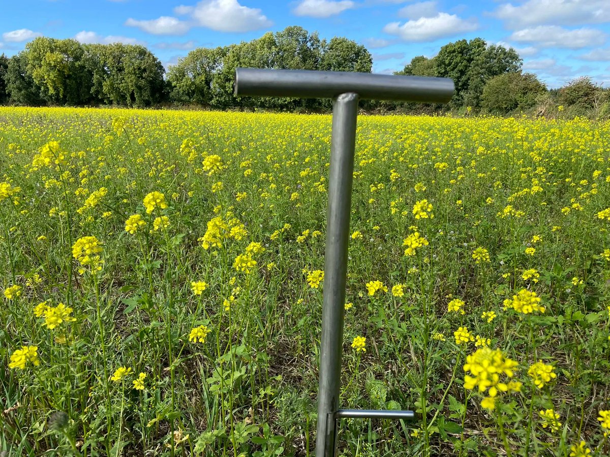 Two weeks ago, Sam was out in this winter barley field, getting ready for the season. 

He’s running both a standard Morgan test and an Albrecht test (double sampling) to compare which one offers the most cost-effective fertiliser advice.

 Do you want to know the results?