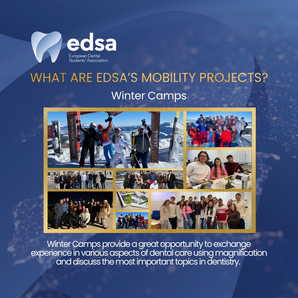 EDSA | European Dental Students' Association tweet media