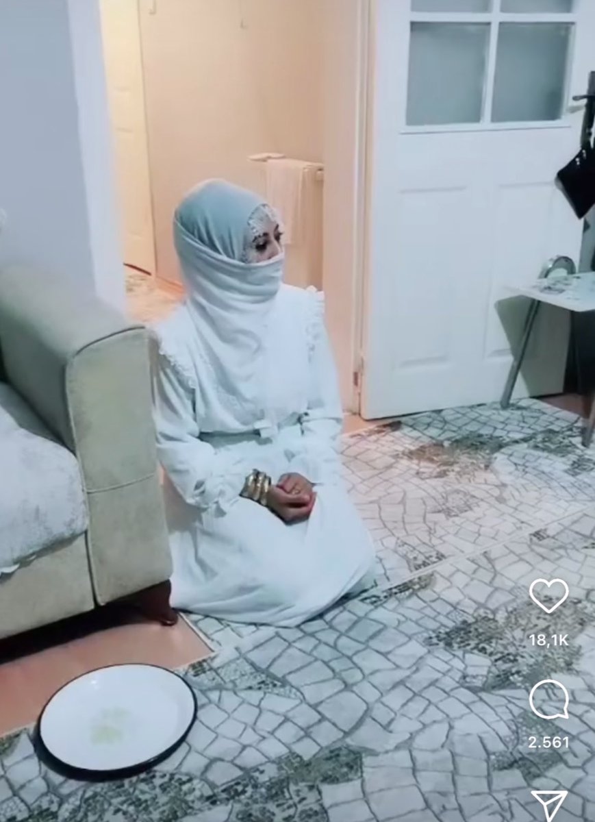 Dahiliye pol-de asistanın yanına park ediliş şekli