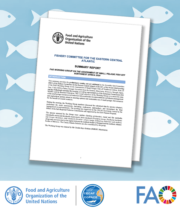 FAO_CECAFCOPACE's tweet image. 📢Summary Report: #CECAF Working Group on Small Pelagic Fish-Northwest Africa 

📒Read the preliminary findings on small pelagic resources. Supported by the #EAFNansen and the @CSRP2016 

bit.ly/3Y452zO