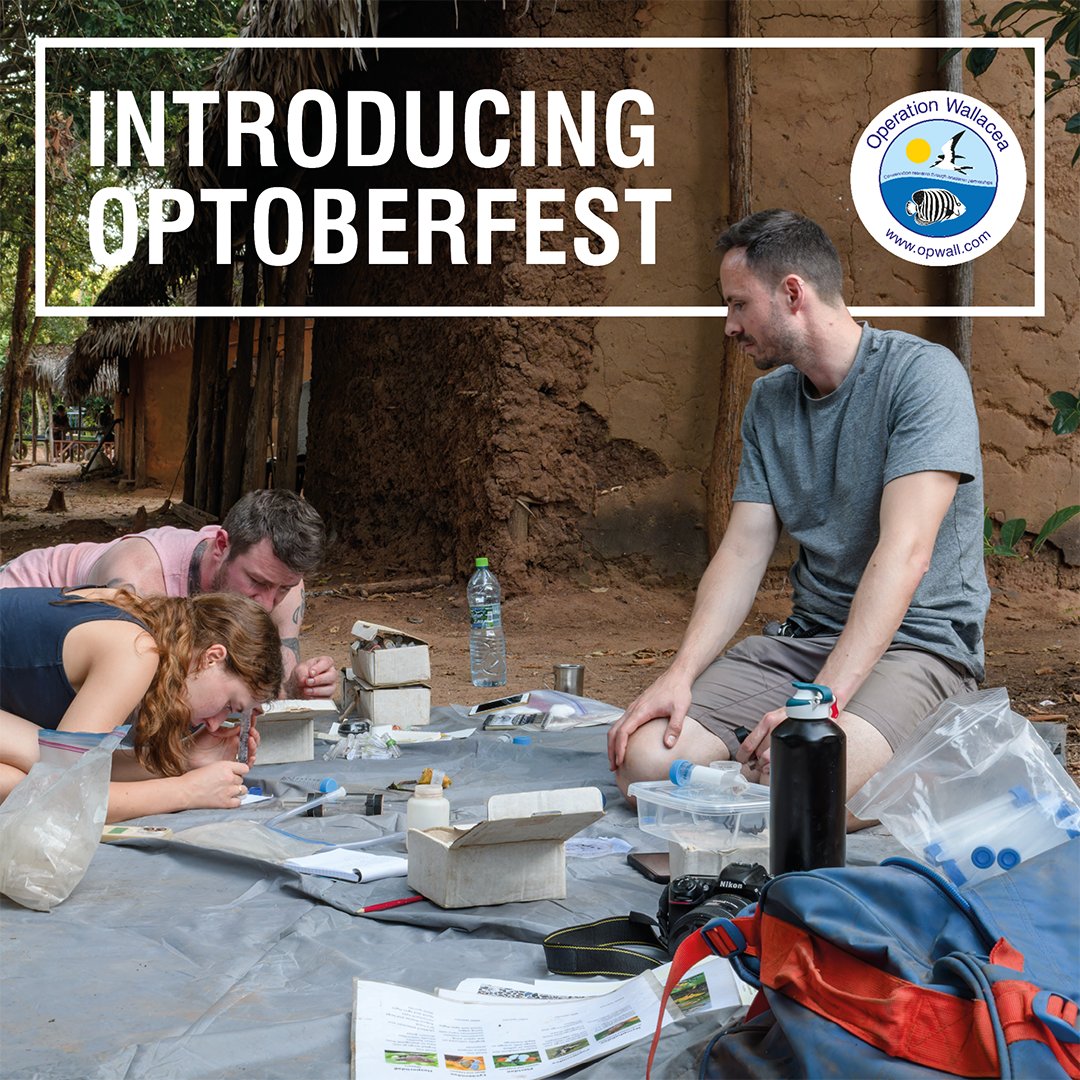 Operation Wallacea (@opwall) on Twitter photo Let's introduce you to Operation Wallacea's first annual Optoberfest Science mini-conference! On 10th and 11th October we will be live-streaming incredible talks from a whole host of inspiring scientists and researchers. 
Keep your eyes peeled this week for more information! Let's introduce you to Operation Wallacea's first annual Optoberfest Science mini-conference! On 10th and 11th October we will be live-streaming incredible talks from a whole host of inspiring scientists and researchers. 
Keep your eyes peeled this week for more information!
