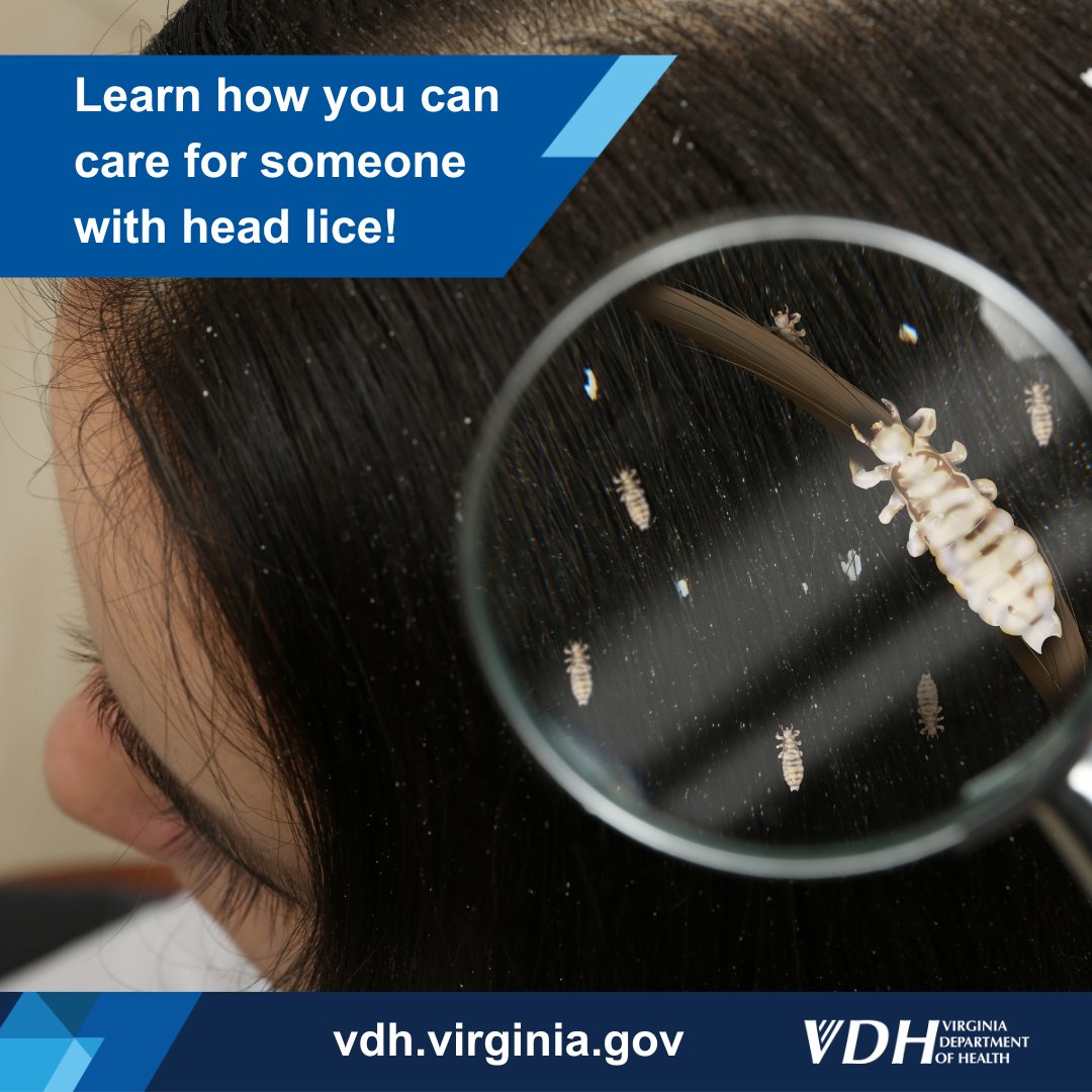 VDHgov's tweet image. September is #HeadLice Prevention Month! As kids head #BackToSchool, keep an eye out for head lice. They aren't known to spread disease, but they can be irritating. Learn how to identify and treat them in our latest blog: ow.ly/wRij50T4497