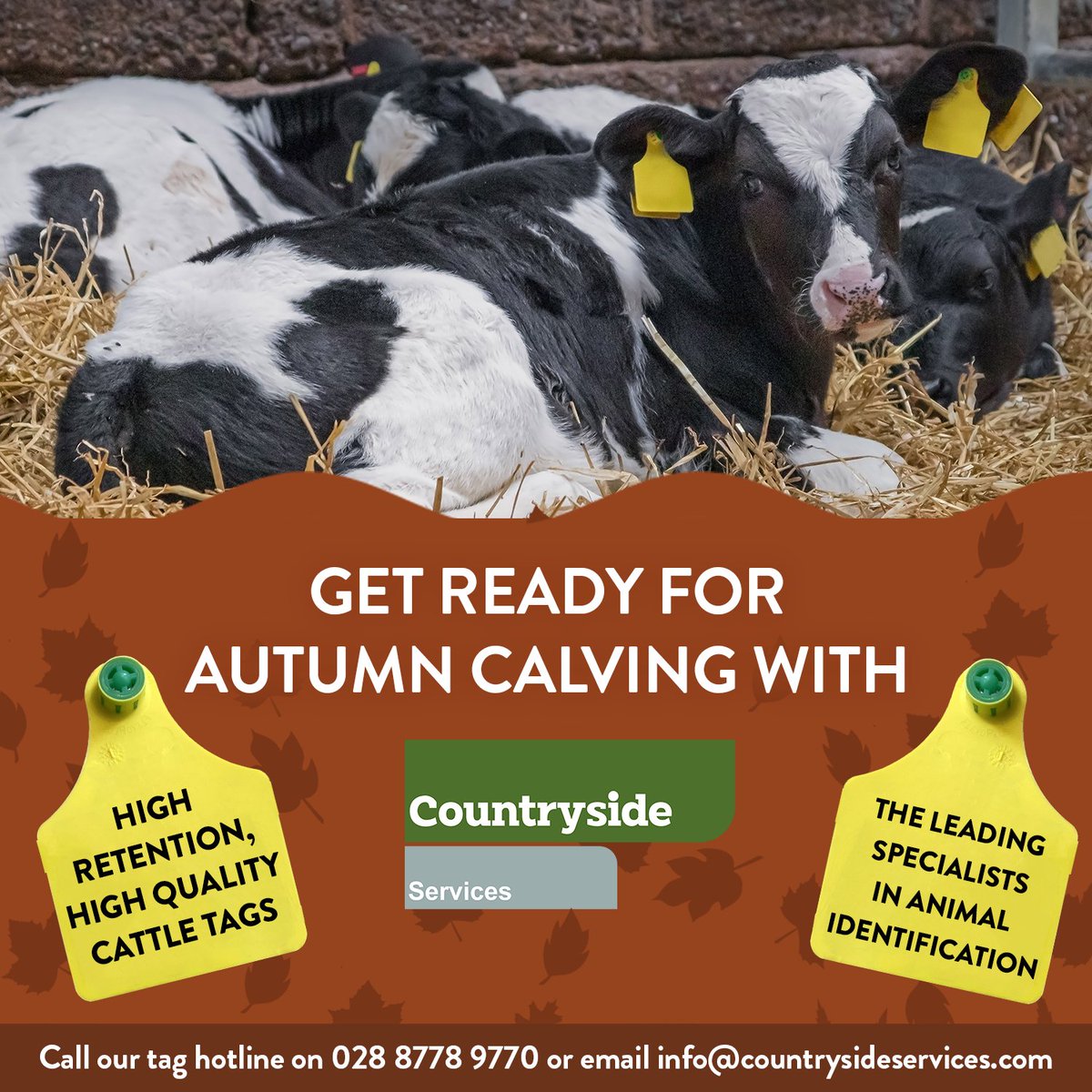 Countryside Services (@cslni) on Twitter photo Prepare for Autumn Calving with Countryside Services, Northern Ireland's leading supplier of livestock ID tags๐๐
We're saving farmers time, money, and hassle with our premium, high-retention cattle tags
T: 02887789770
E: info@countrysideservices.com
W: countrysideservices.com Prepare for Autumn Calving with Countryside Services, Northern Ireland's leading supplier of livestock ID tags๐๐
We're saving farmers time, money, and hassle with our premium, high-retention cattle tags
T: 02887789770
E: info@countrysideservices.com
W: countrysideservices.com