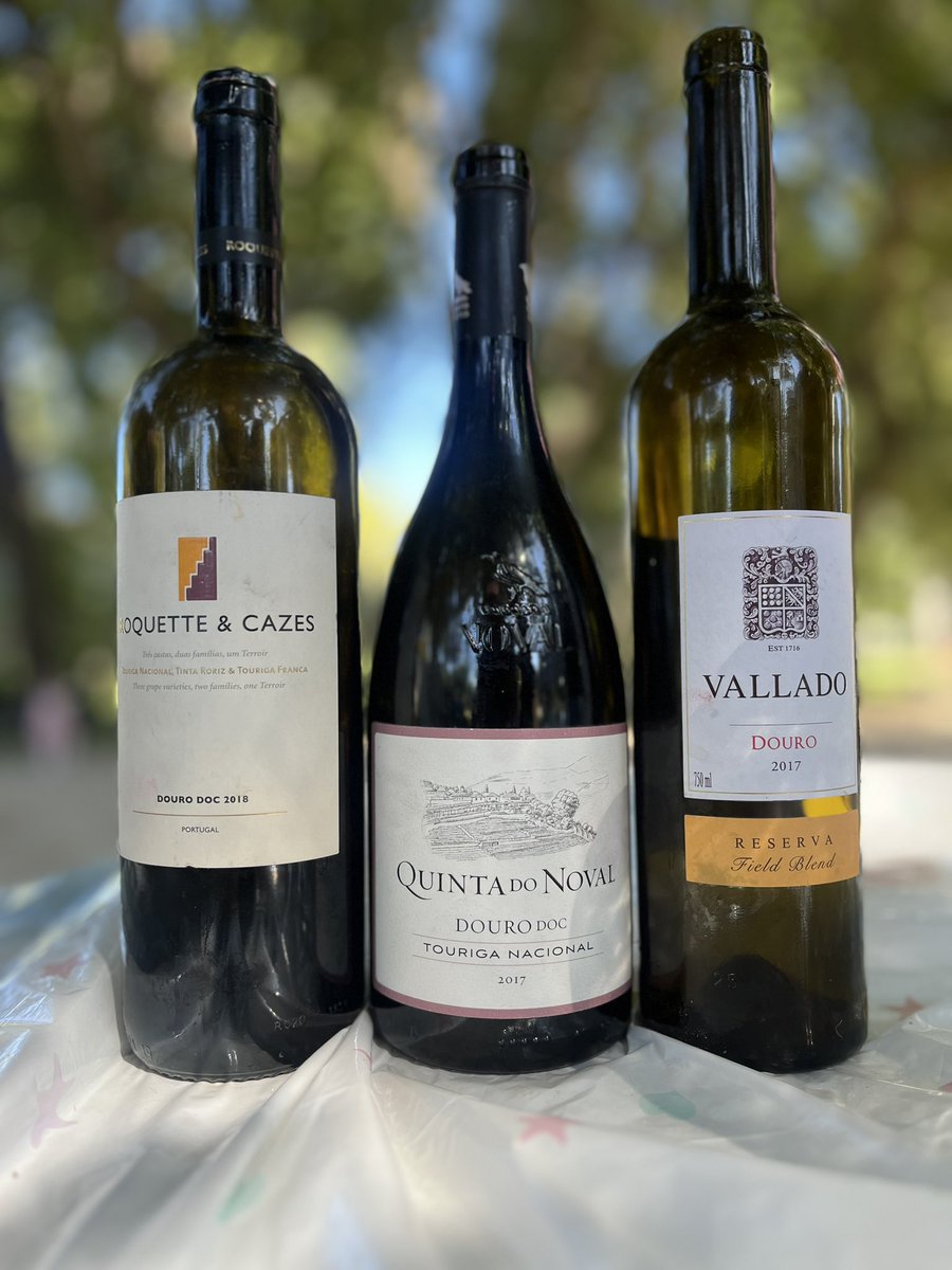 Sergio Delgado tweet media