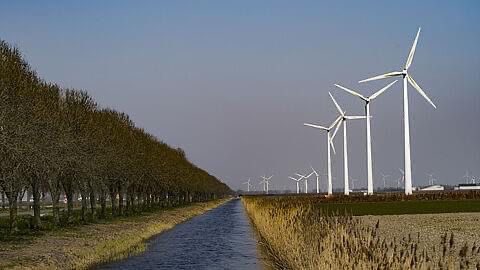 Wist je dat Zeewolde in 1984 een zelfstandige gemeente werd? Het is daarmee de jongste, niet door samenvoeging ontstane, gemeente van Nederland. Er woonden nog geen mensen in het dorp zelf. De huizen waren nog in aanbouw. 

<a href="/zeewolde/">Zeewolde</a> #zeewolde #gemeenteraadzeewolde #wistjedat