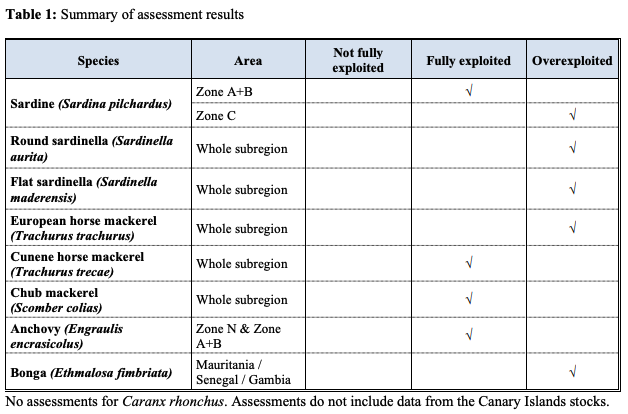 sakchaimcd's tweet image. 🌍Preliminary results of the #CECAF WG small pelagics, Northwest Africa

Sardine, sardinella, mackerel, and more – indicates some species are overexploited, while others remain under pressure.

📊 bit.ly/3Y452zO