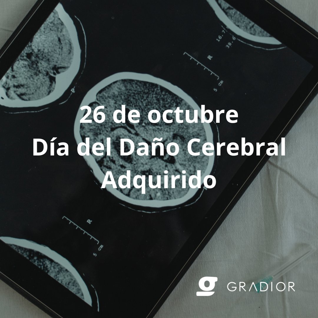 Gradior_Suite tweet media