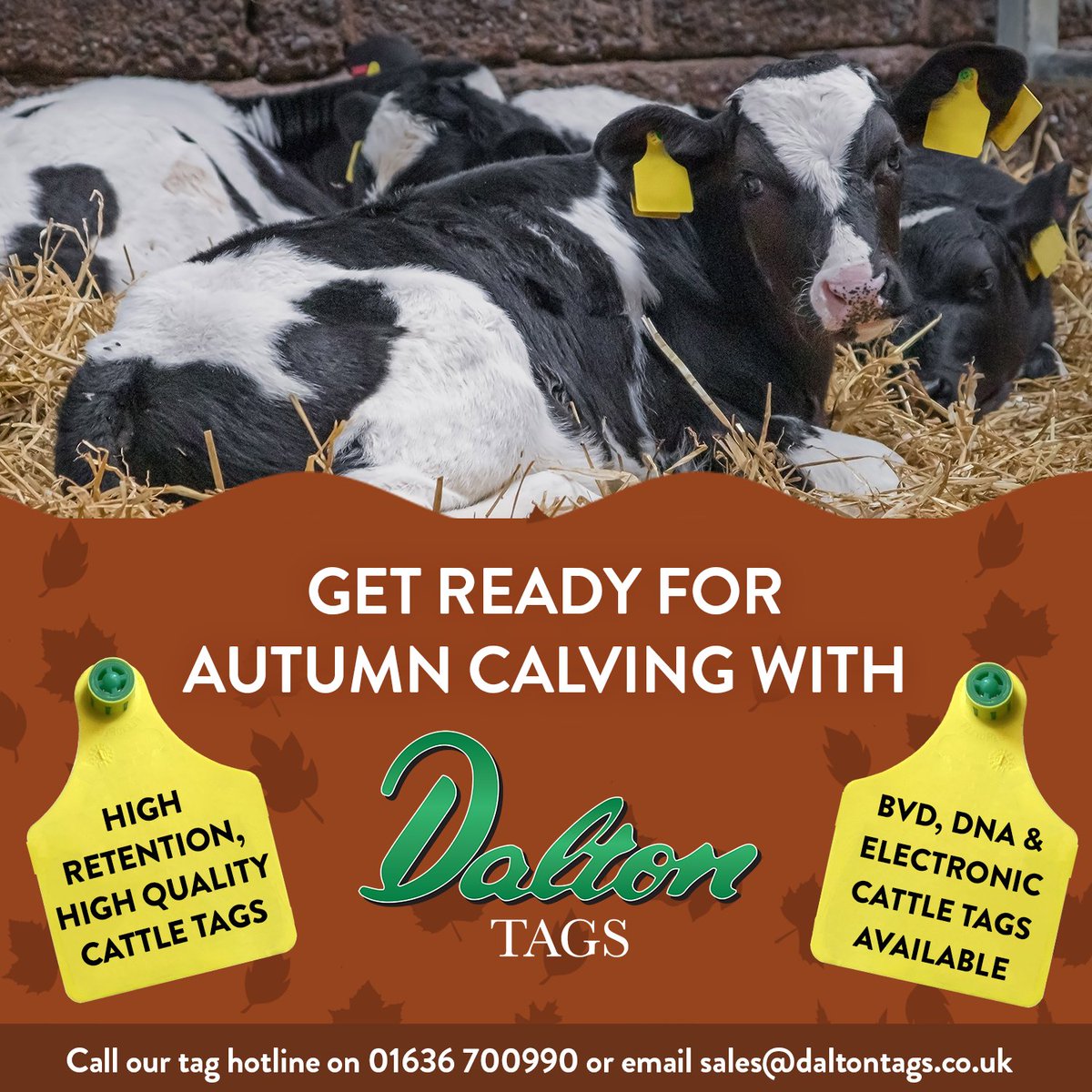 Prepare for Autumn Calving with Dalton Tags! 🐄🍂

We're helping farmers save time, money, and hassle with our high-quality, high-retention cattle tags🐄 BVD, DNA, and Electronic Cattle Tags are also available.

T: 01636 700990
E: sales@daltontags.co.uk
W: daltontags.co.uk