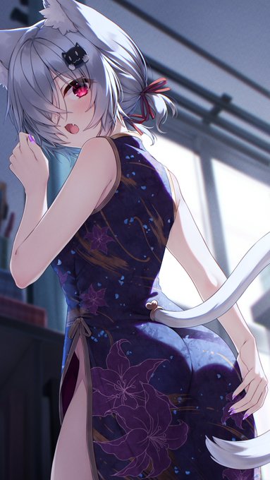 くおんちゃんにお願いしてチーパオ(チャイナドレス)を着てもらった🐈 