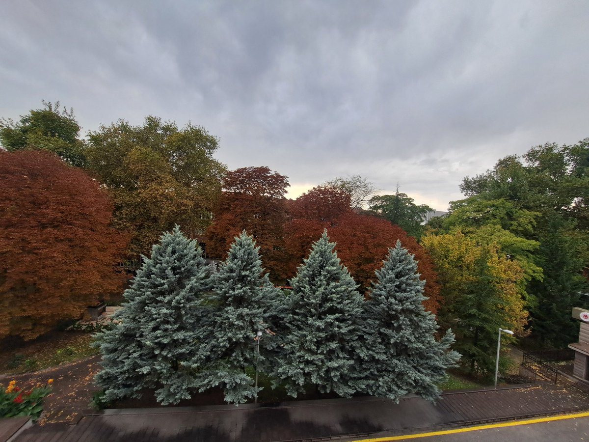 belkibirgunbrn's tweet image. #sonbahar #renkler
Sonbaharin renkleri 🍁🍂